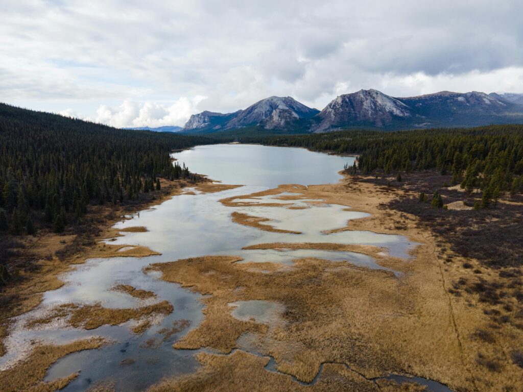 Aerial view of a serene mountain lake surrounded by coniferous forests in Atlin, BC, Canada.